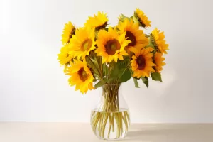 sunflowers for grand opening flowers that represent positivity, growth, and strong energy